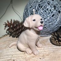 bougie chien