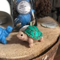 bougie tortue