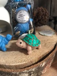 bougie tortue