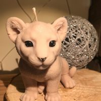 Bougie Lionceau