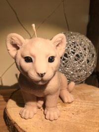 Bougie Lionceau