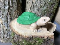 Bougie Tortue géante