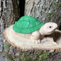 Bougie Tortue géante