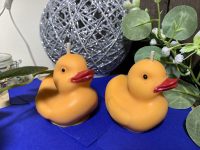 Bougie Canard