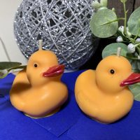 Bougie Canard