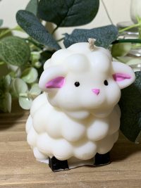 Bougie Mouton