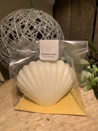 Bougie Coquille Saint-Jacques