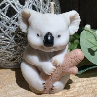bougie koala