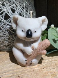 bougie koala