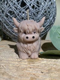 bougie vache